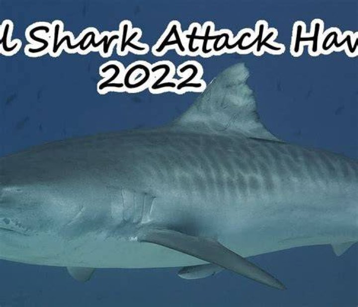2022 Fatal Shark Attack in the Bahamas