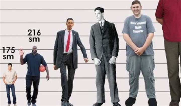 22 how tall is ivan cornejo Quick Guide (10/2023)