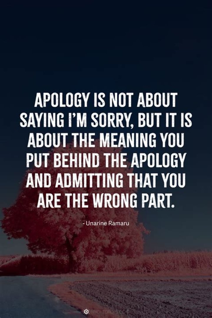 250+ Apology Quotes To Save Your Relationships & Rebuild Trust