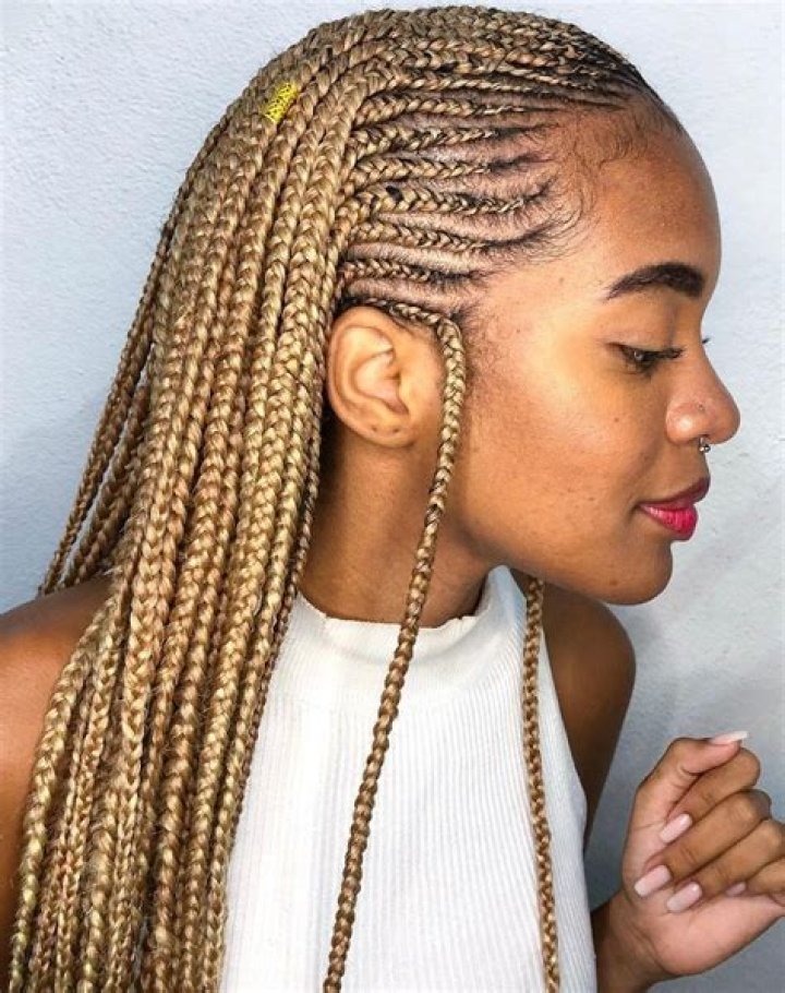 30 Stunning Fulani Braids Ideas for 2024 Hair Adviser