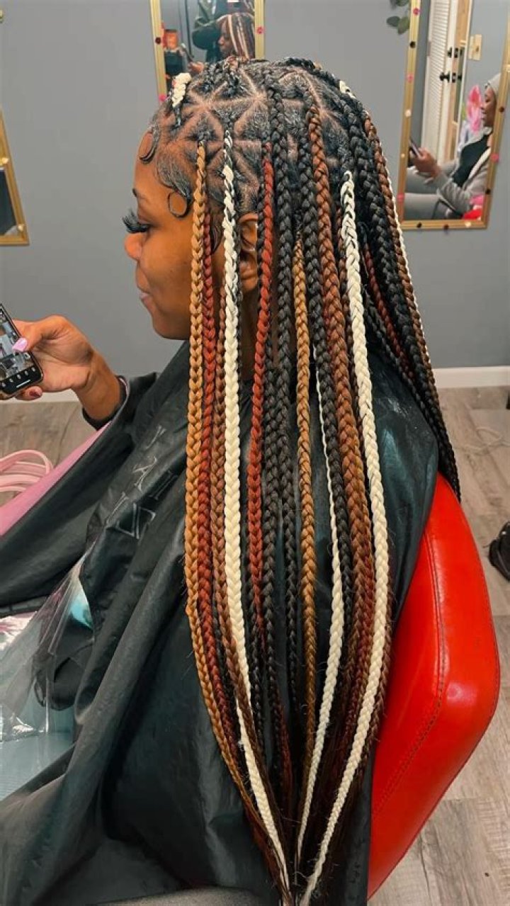 31 Box Braids With Color You Need to Try Next (2023)
