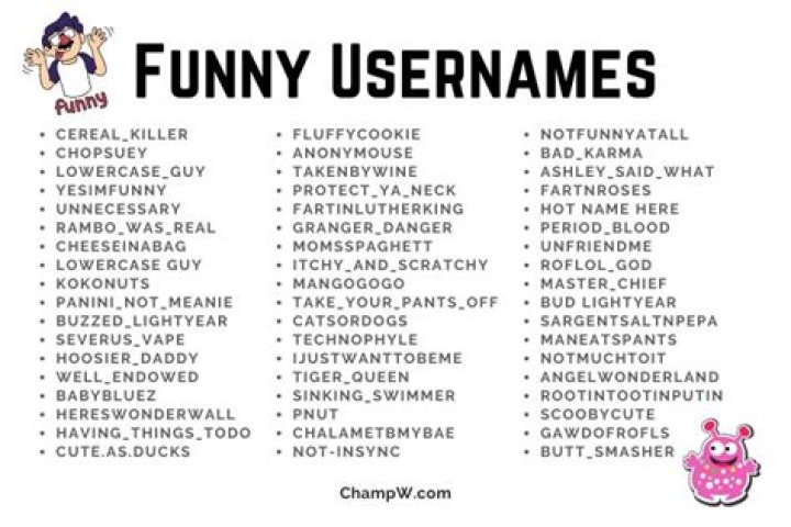 340+ Funny Usernames Ideas For Boys+Girls