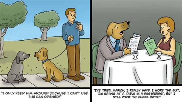 50 Funny Cartoons That Will Crack You Up Reader's Digest
