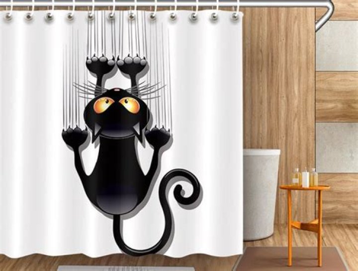 50+ FUNNY Shower Curtains For Adults You Can Buy Today!