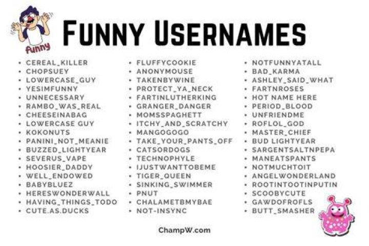 700 Funny Usernames Ideas and Suggestions to Inspire You