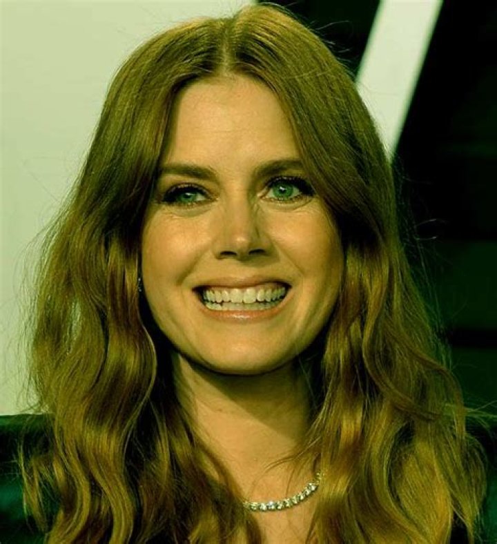 Amy Adams Wiki, Net Worth, Husband, Married, Daughter, Pregnant