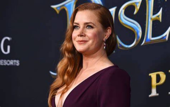 Amy Adams's Net Worth Richer Than Husband Darren Le Gallo