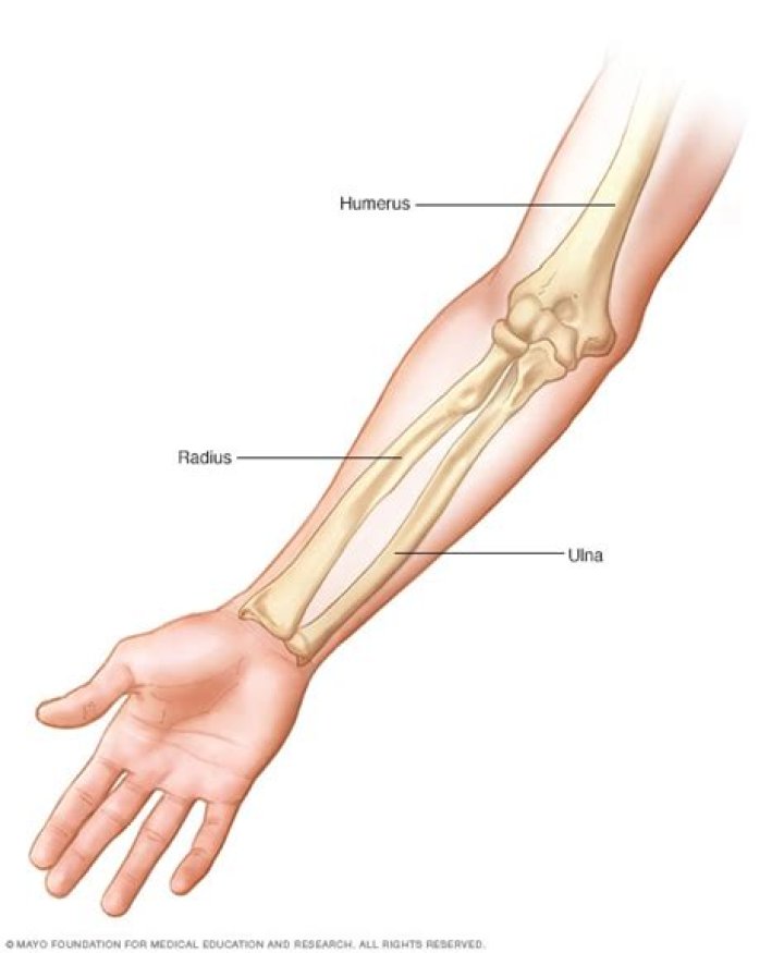 Arm bones Mayo Clinic