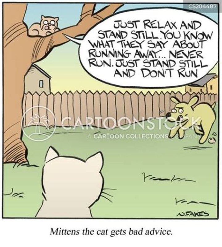 Bad Advice Cartoons and Comics funny pictures from CartoonStock