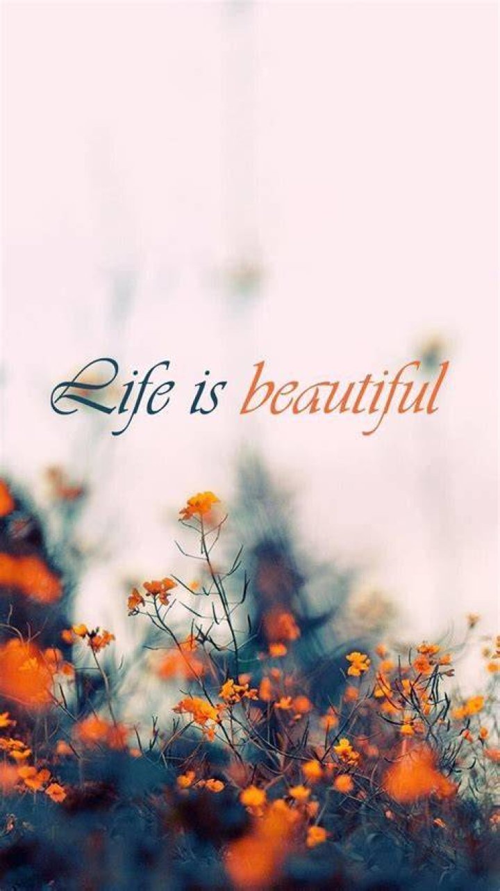 Beautiful Life Wallpapers Wallpaper Cave