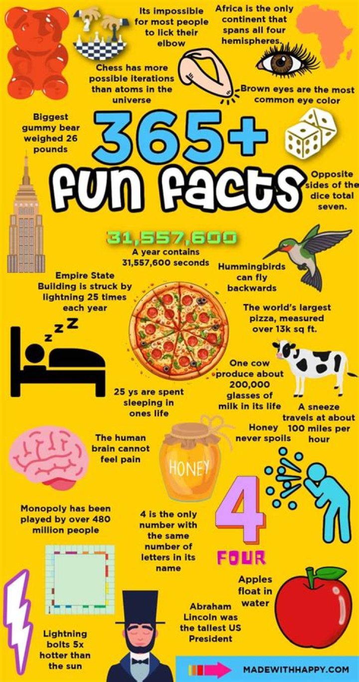 Beckabella Style 10 Fun Facts About Me