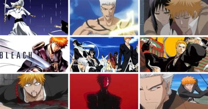 Bleach Arcs in Order The Complete Guide