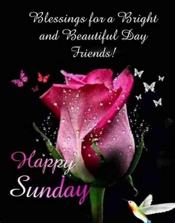 Blessings For A Beautiful Sunday Pictures, Photos, and Images for
