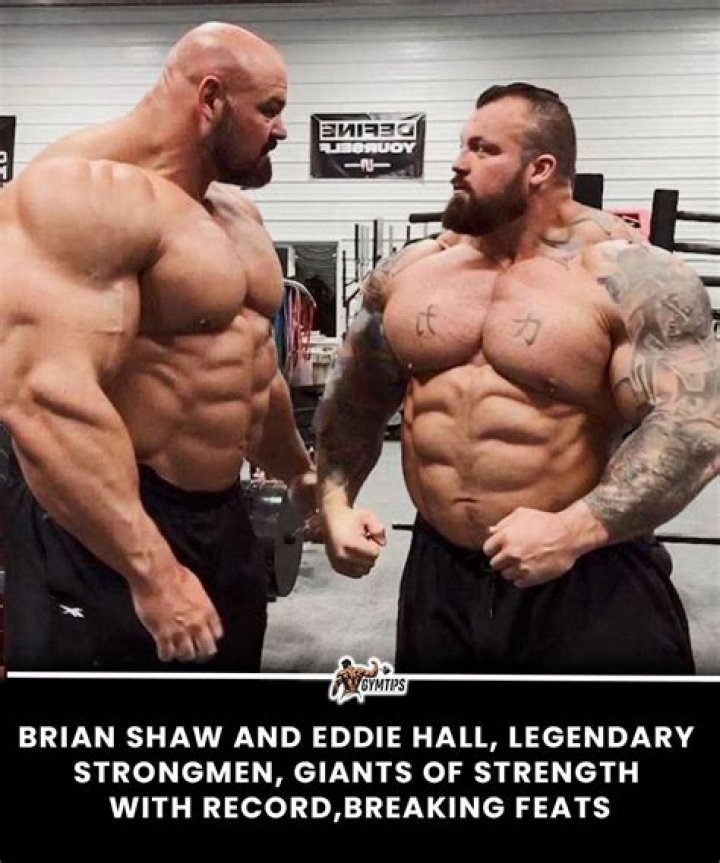 brian shaw eddie hall bodybuilding