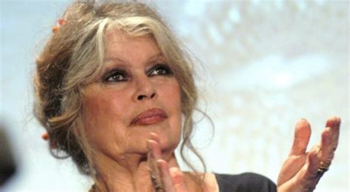 Brigitte Bardot Son