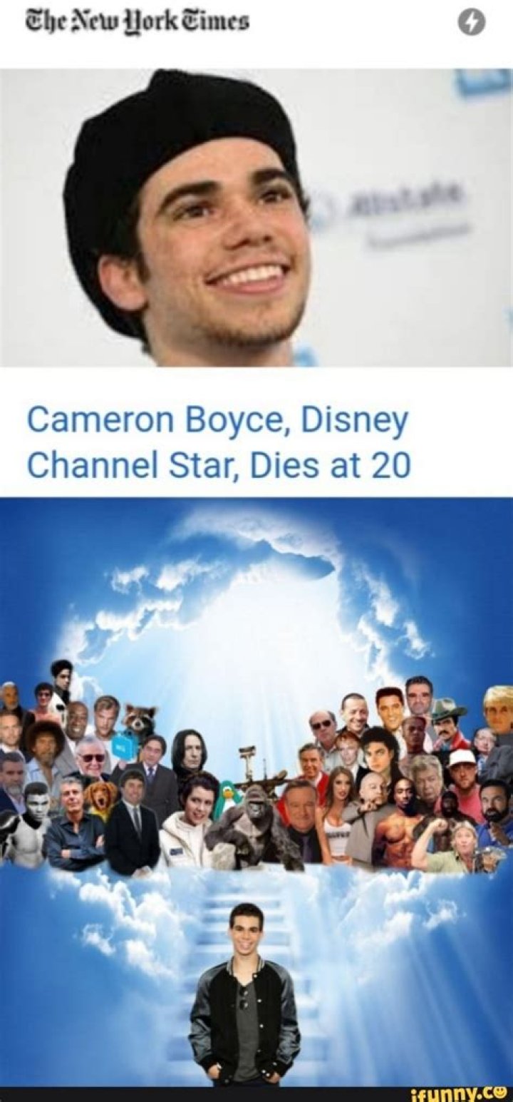 Cameron Boyce, Disney Channel Star, Dies at 20 Vanity Fair