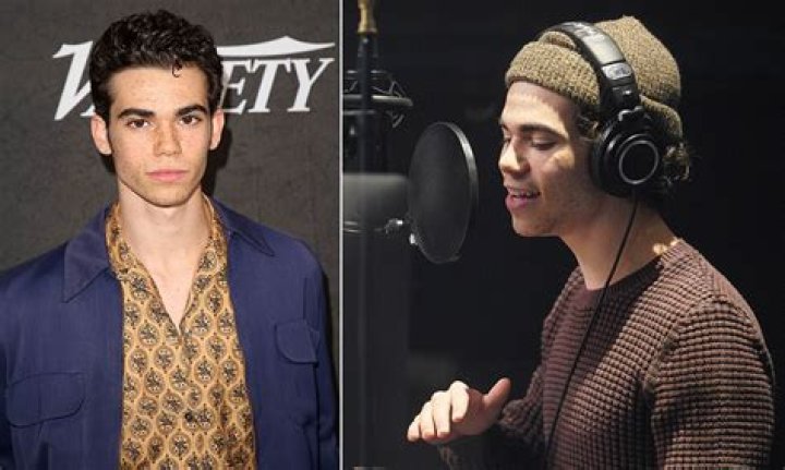 Cameron Boyce suffered from epilepsy Inquirer Entertainment