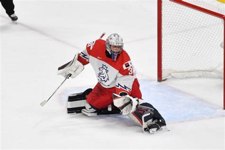 Canadiens Can Solve Goaltending Depth With Late Draft Steals The