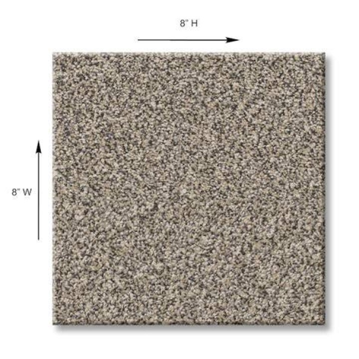 Carpet Sample Charm Square Color Boulder 8 in. x 8 in.SH766622