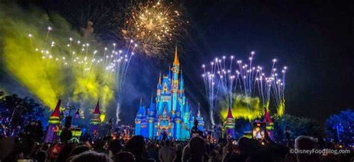 Celebrate The Magic: Micky Day Extravaganza