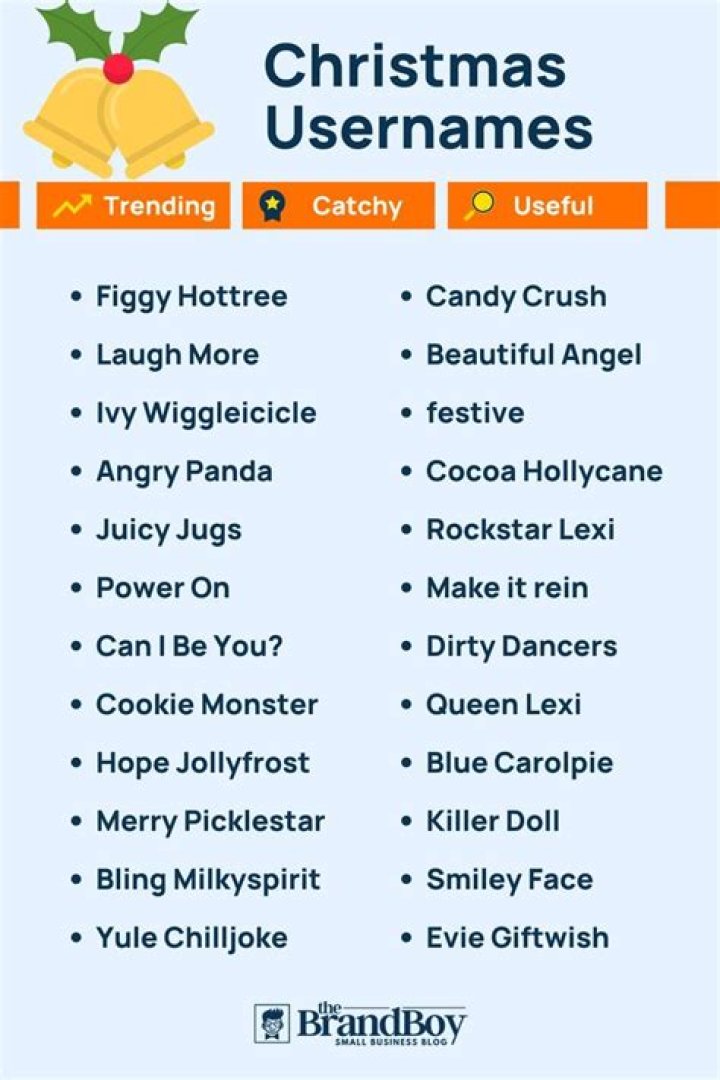Christmas Usernames 600+ Catchy and Cool Names Landlords Connect