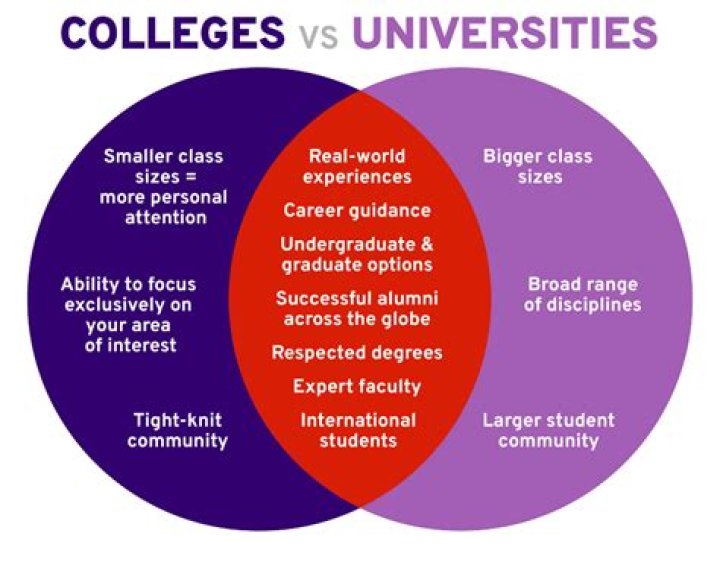COLLEGE vs UNIVERSITY Big Difference between University vs College