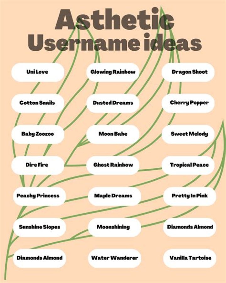 Creative And Engaging Fun User Names For Every Personality