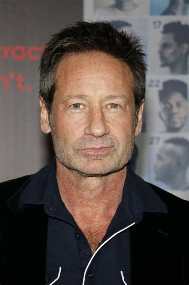 David Duchovny Wikipedia