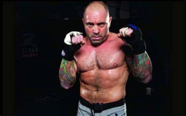 Did Joe Rogan Fight Professionally? (& What Was His Record)