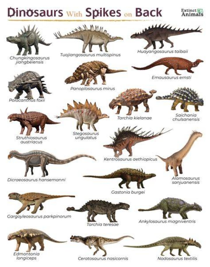 Dinosaurs With Spikes on Back Facts, List, Pictures