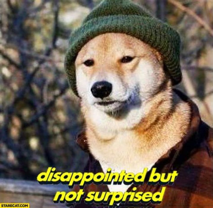 Disappointed but not suprised doge meme