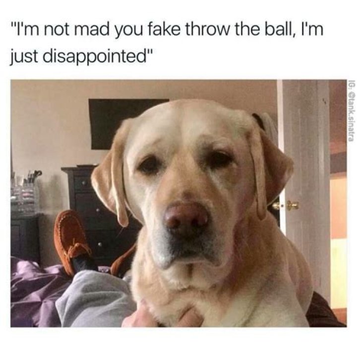 Disappointment Meme by Markiplite16 ) Memedroid