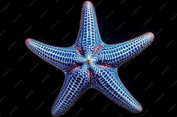 Discovering Camillara: The Enigmatic Star