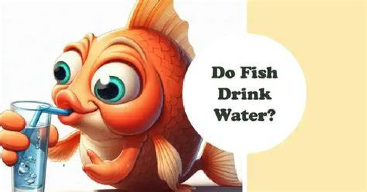 Do Fish Get Thirsty? Understanding the Hydration Needs of Aquatic