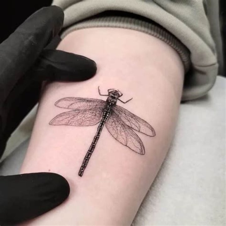 Dragonfly tattoo on the forearm