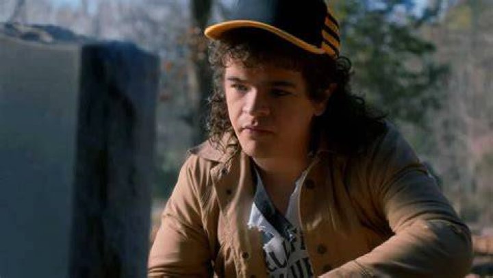 Dustin Henderson Stranger things tv, Stranger things dustin, Stranger