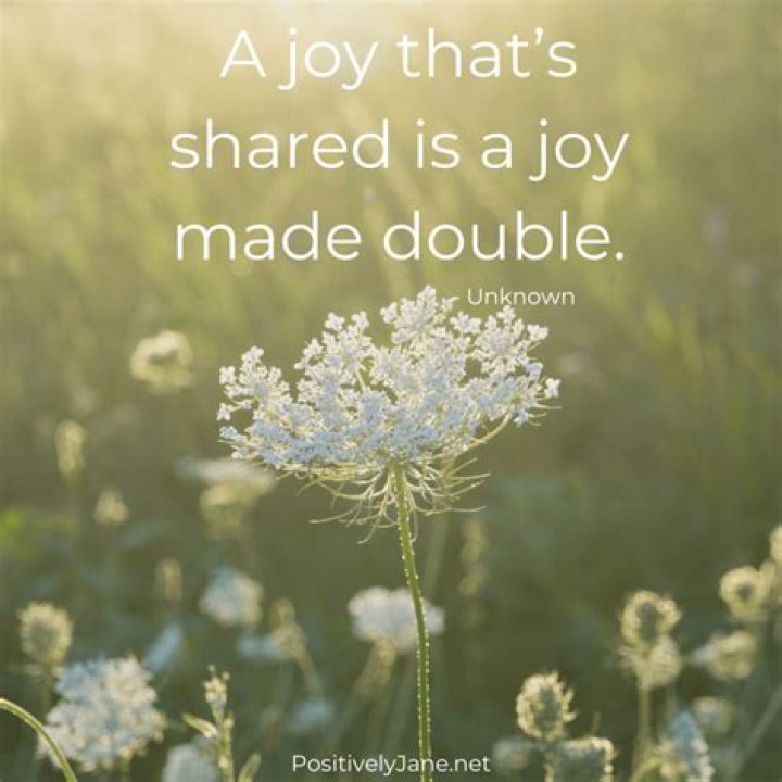 Embracing Joy: Celebrating Life Through Quotes