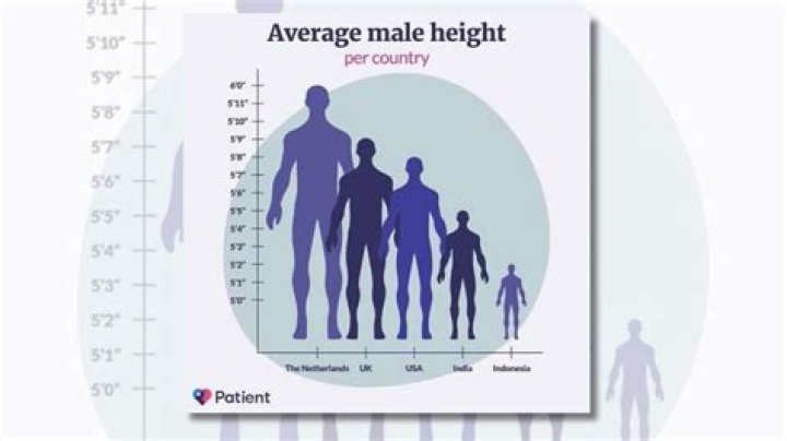 Exploring The Average Height In The NFL: A Deep Dive Into Player Dimensions