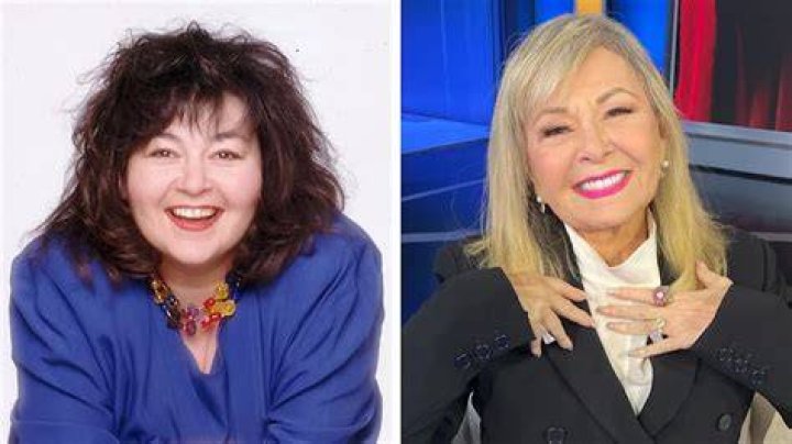 Exploring The Dynamic Duo: Roseanne And Dan