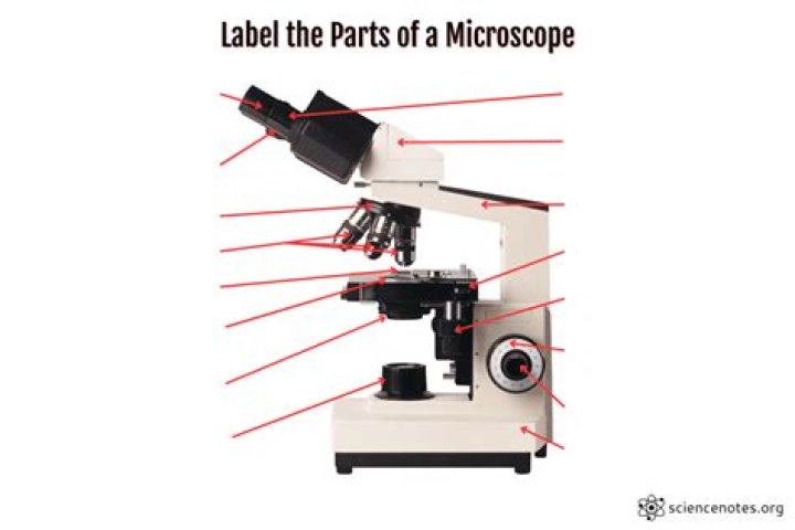 Exploring The Essentials: Parts Of A Microscope Labeling