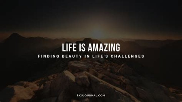 Finding Beauty in Life's Unplanned Moments Katie M. Reid