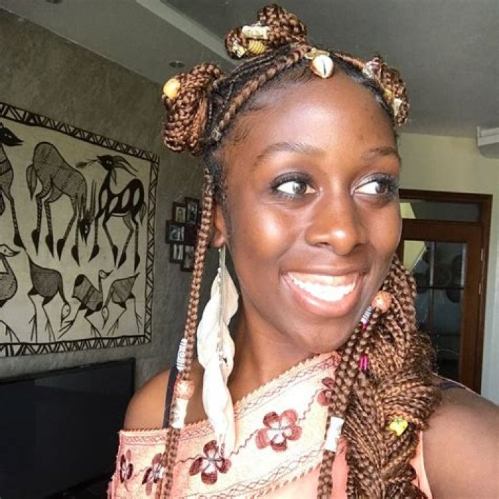 Fulani Braid Love From Tradition to FestivalReady Have you been