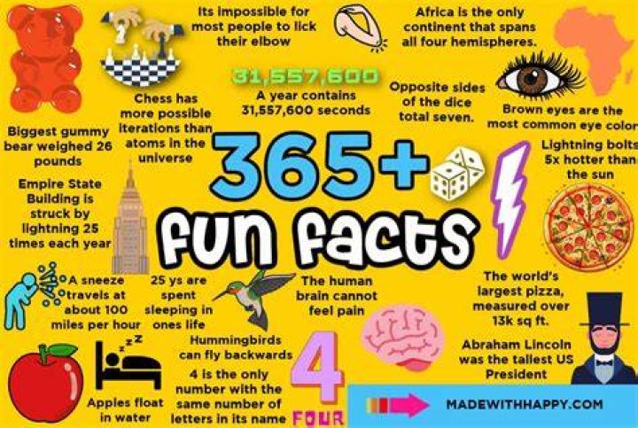 Fun Facts for an &ldquo;About Me&rdquo; Intro List of Helpful Examples