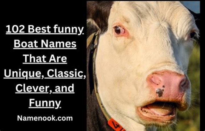 Funny Boat Names That Are Barely Legal 50 Hilarious Boat Names