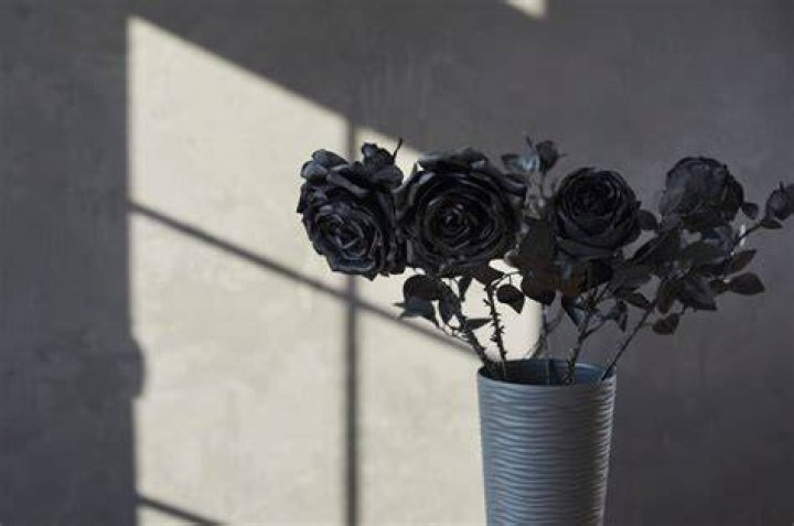 Give Them Their Black Roses! This Is My Letter To PRETTY GIRLS MAKE