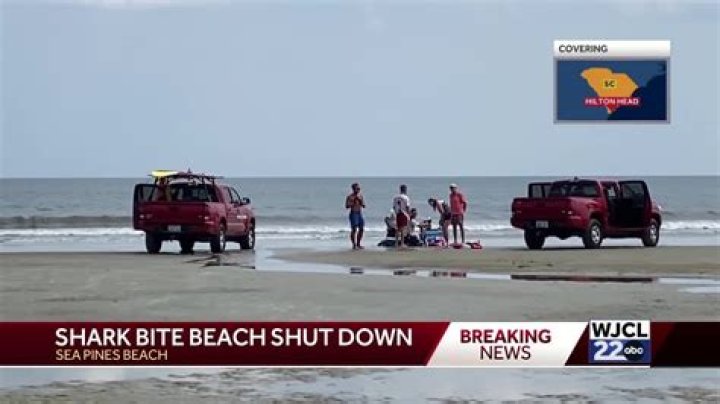 Hilton Head Shark Bite: Everything You Need To Know
