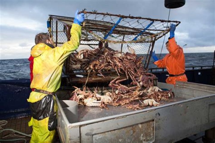 How Much Do Captians and Deckhands Make on Deadliest Catch?