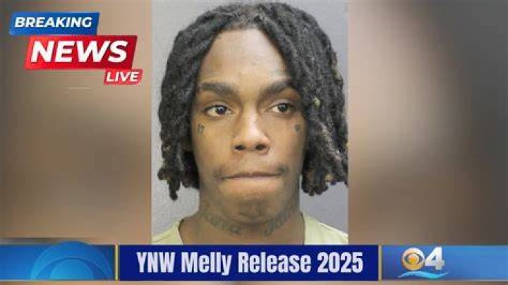How Much Is Ynw Melly Worth Digital Global Times