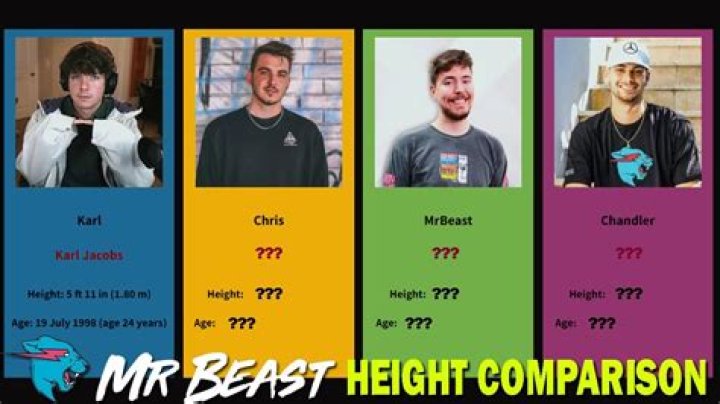 How Tall Are The MrBeast Members?