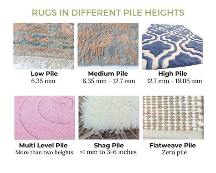 How Tall Is Ames McNamara? Complete Height Guide